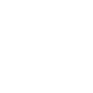 noble logo